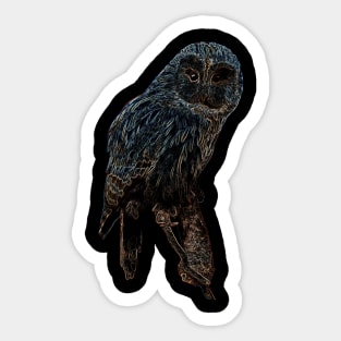 owl, owl colored Sticker